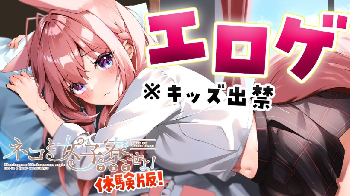 【エロゲ体験版】⚠土曜の夜にドキドキエロゲ⁉ネコと女子寮でにゃんにゃん~~~!?※キッズは閲覧注意⁉【博衣こより/ホロライブ】