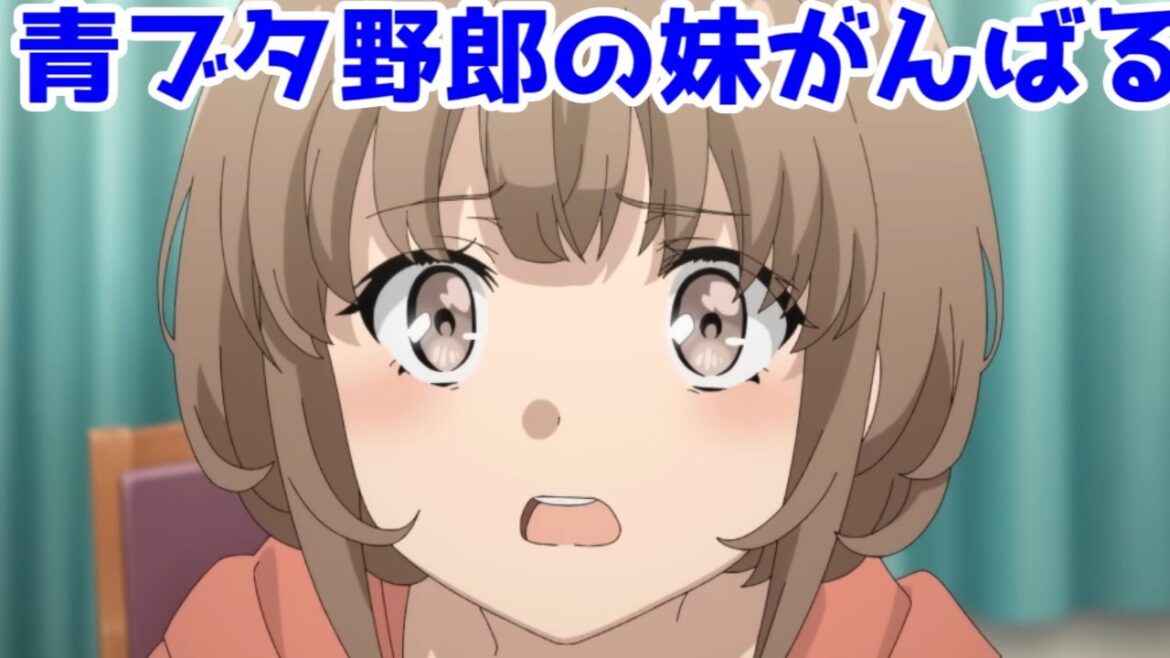 【5年越しの「明けない夜の夜明け」の先】「青春ブタ野郎はおでかけシスターの夢を見ない」アニメ映画レビュー【面白い】【クローバーワークス】