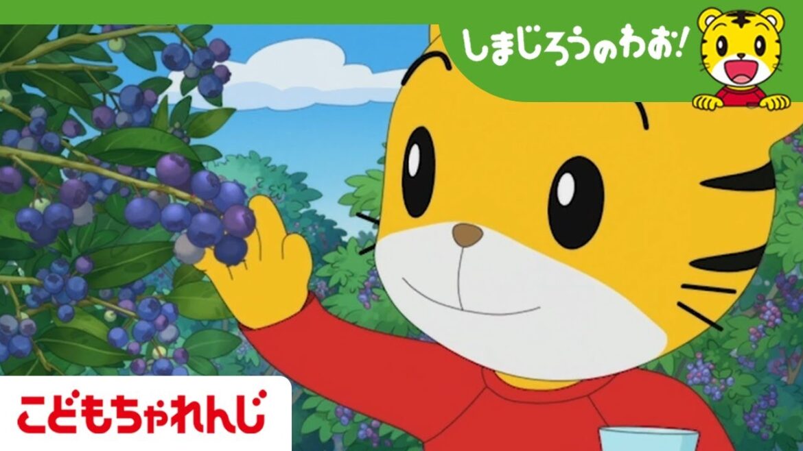 たべようブルーベリー!|しまじろうのわお!アニメ