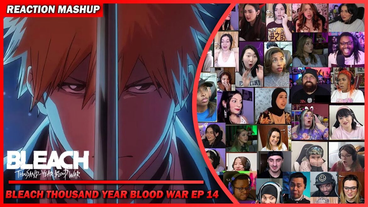 Bleach Thousand Year Blood War Episode 14 Reaction Mashup | ブリーチ