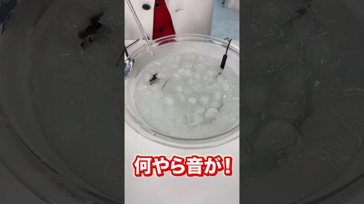 約40年間で最も驚いた実験