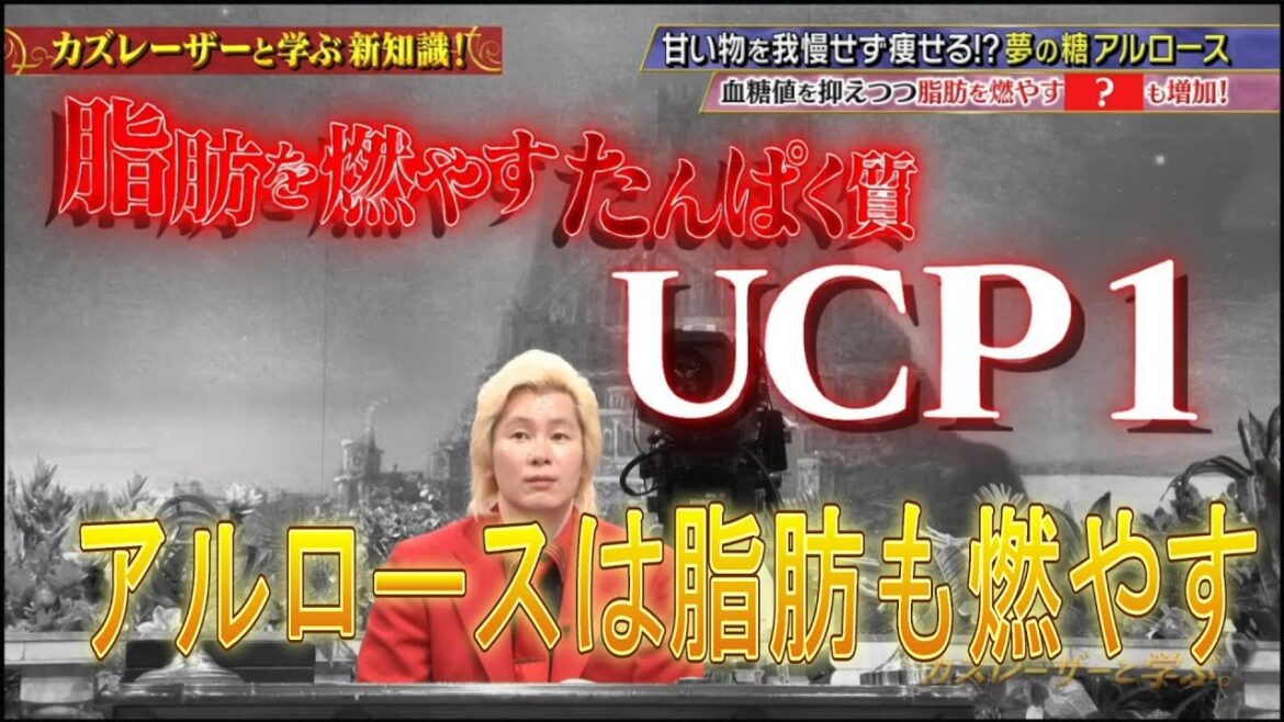 ポメラニアンきらチャンネル 152 【血糖値】話題のアルロース飲みながらマックを食べてみた