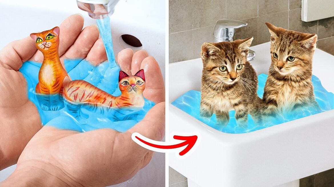 秘密の猫ハウス||驚きのリフォームと秘密の家|ラ・ラ・ライフ EMOJI