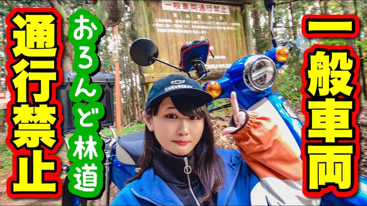 スーパーカブで法論堂林道を探検するのだぜ!  宮ケ瀬ツーリング後編【モトブログ】スーパーカブ110