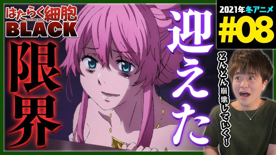 はたらく細胞 BLACK 第8話 同時視聴 アニメリアクション Hataraku Saibou BLACK Episode 8 Anime Reaction
