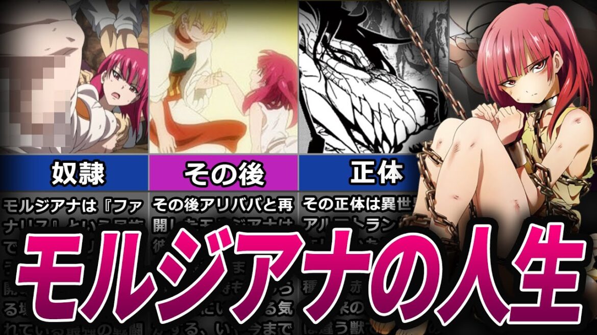 【マギ】最強の戦闘民族?!ファナリスの正体とモルジアナの人生を徹底解説!【アニメ解説】