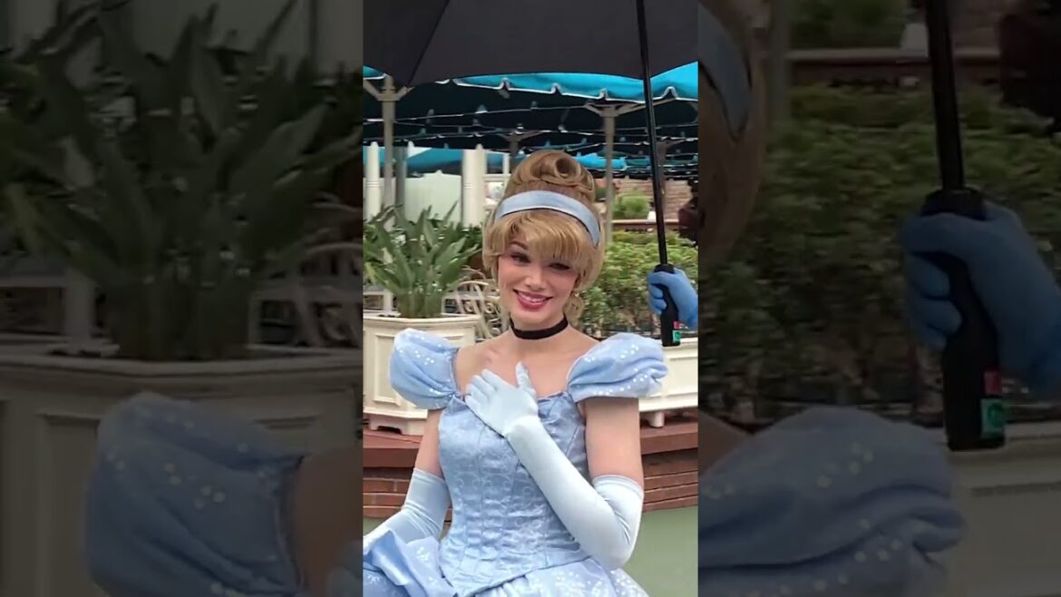 【ディズニー】シンデレラが神対応してくれた❗️ #shorts  #ディズニー グリーティング!東京ディズニーランド/東京ディズニーシー/キャプテンネイボール