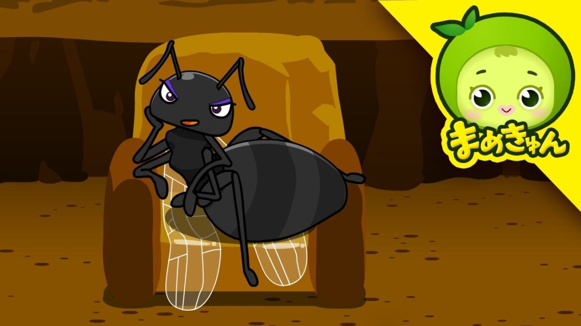 女王アリが現れた! | 昆虫探検 #07 | ヤマトシロアリ | まめきゅん MAMEKYUNN