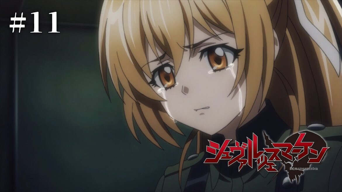 『マブラヴ:ディメンションズ』イベント開催記念!TVアニメ『シュヴァルツェスマーケン』期間限定全話無料配信【第11話】