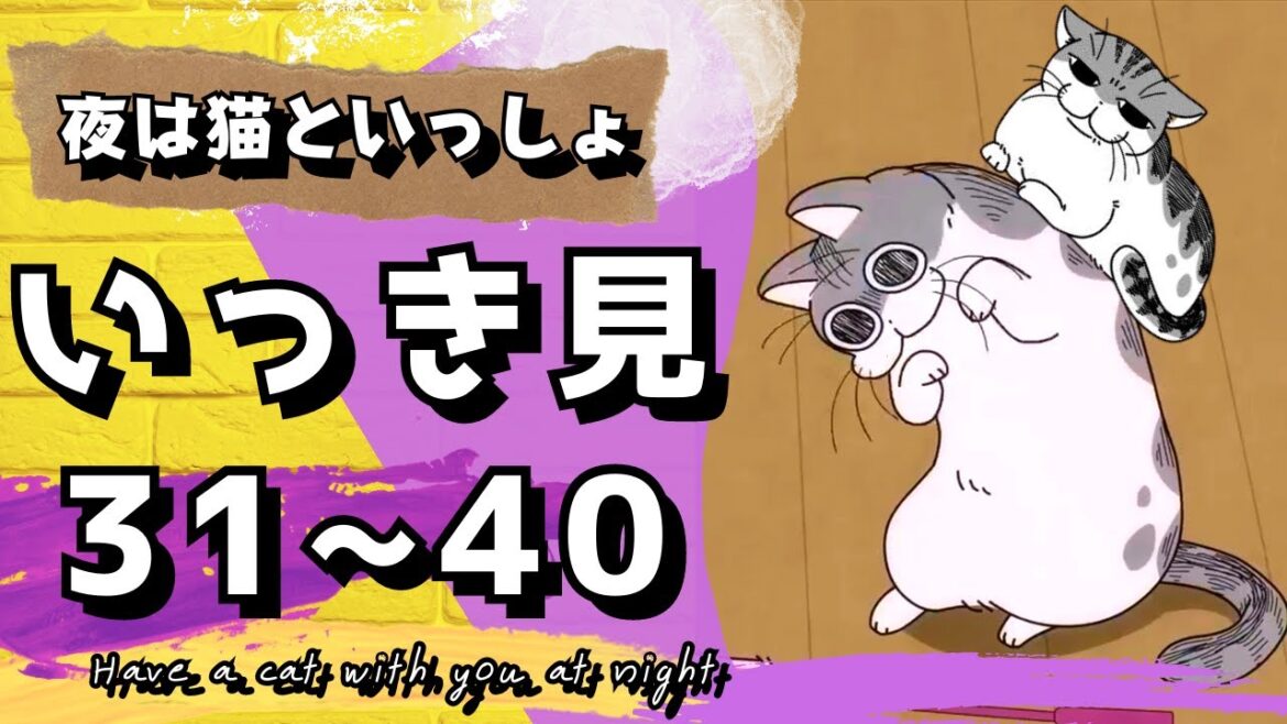 31夜~40夜まとめキュルガ:ノンクレジットエンディング【夜は猫といっしょ:キュルガ切り抜き(字幕付)】