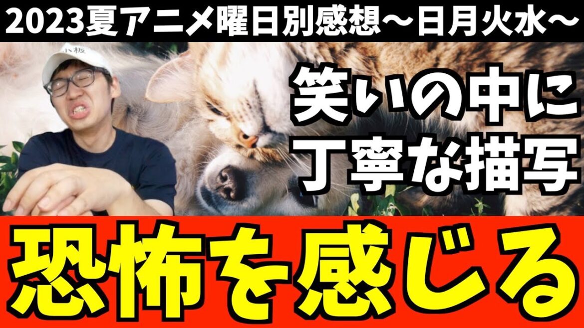 【8,9話】個人的2023夏アニメ曜日別感想〜日月火水〜【アンデッドガール・マーダーファルス / 無職転生 / 政宗くんのリベンジR / おすすめアニメ】