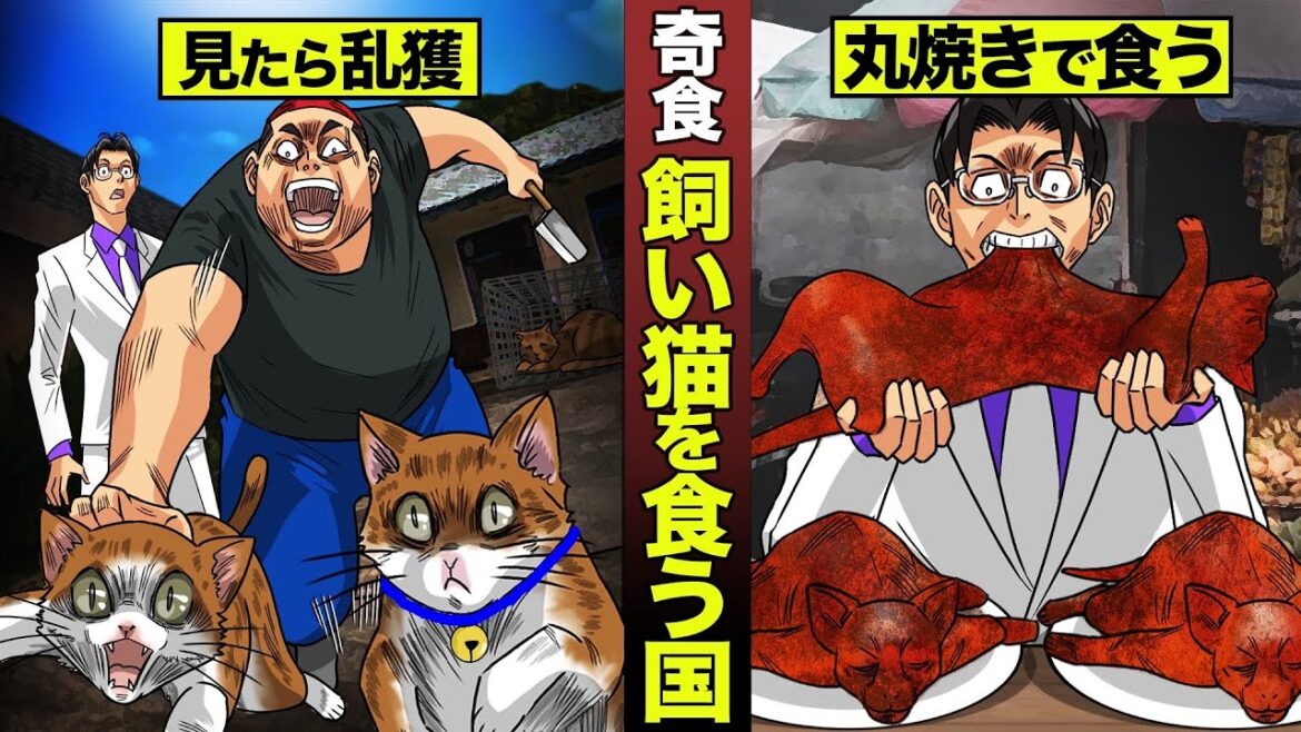 【奇食】飼い猫を食う国…乱獲して丸焼きで食う。