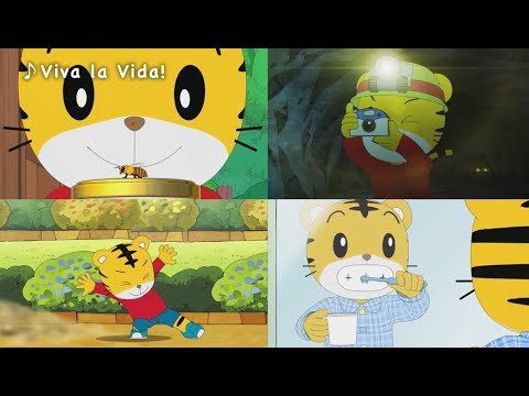 しまじろうの英語のうた  Viva la vida!