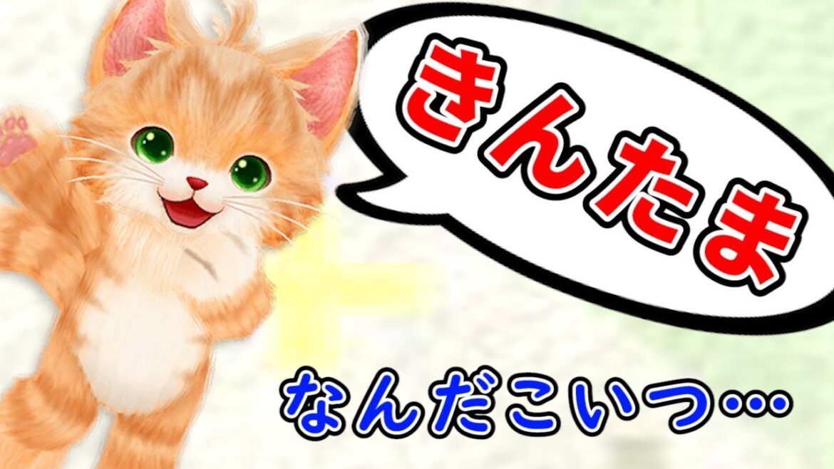 とんでもないことを喋るネコが面白すぎる