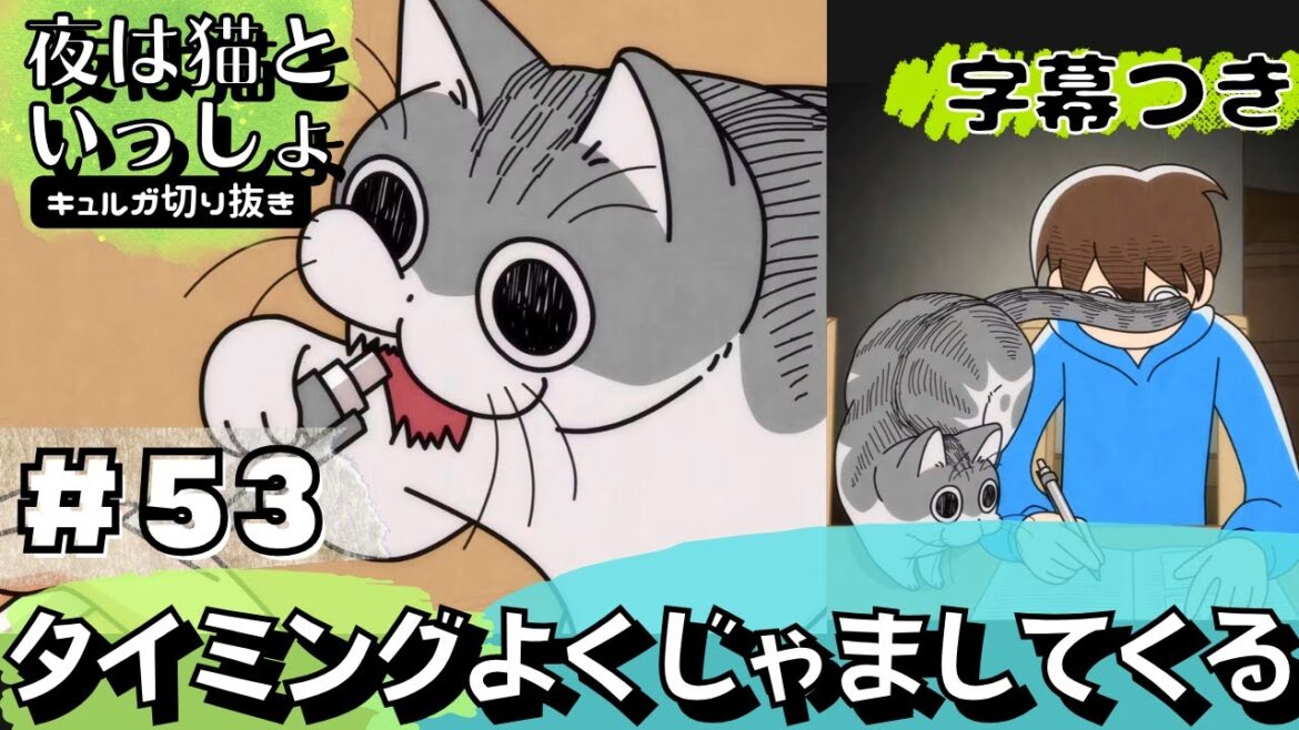 〖最新話〗53.尻尾が飛んでくる【EDカット&字幕付き】
