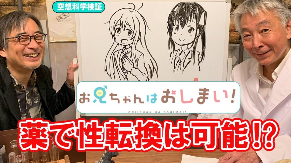 『お兄ちゃんはおしまい!』薬で性転換はできるの?