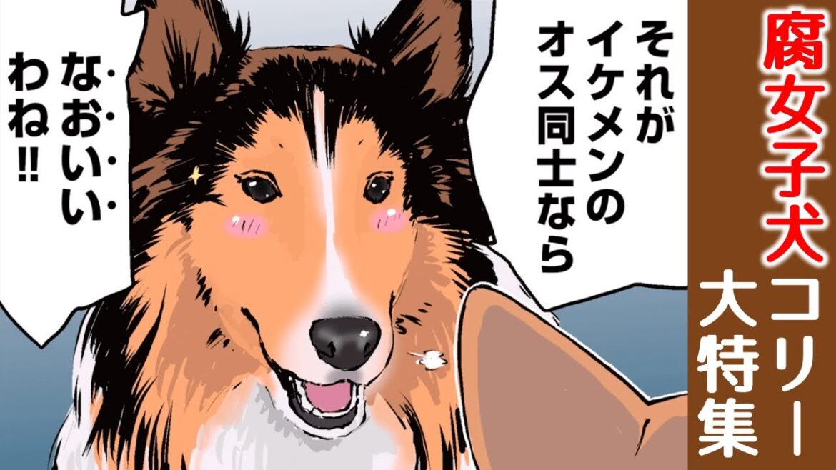 BL大好き!腐女子なコリー姉さん 大特集 【世界の終わりに柴犬と切り抜き / アニメ / 漫画】