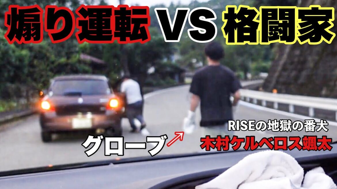 プロ格闘家が煽り運転を撃退した映像