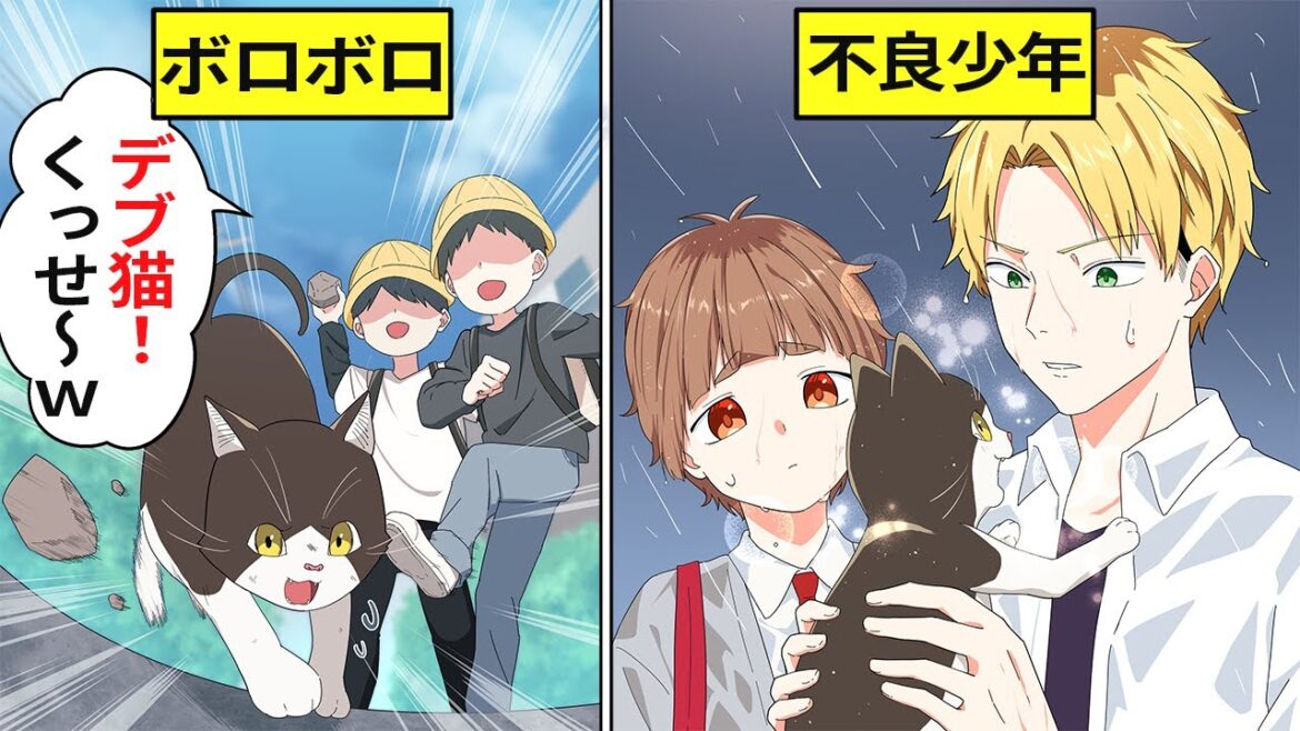 ボロボロの猫を助けた元ヤンと不良少年が…【アニメ】【漫画】