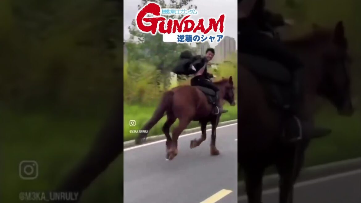 逆襲のシャア 中国のシャア・アズナブル(実写) #ガンダム #逆襲のシャア #meme