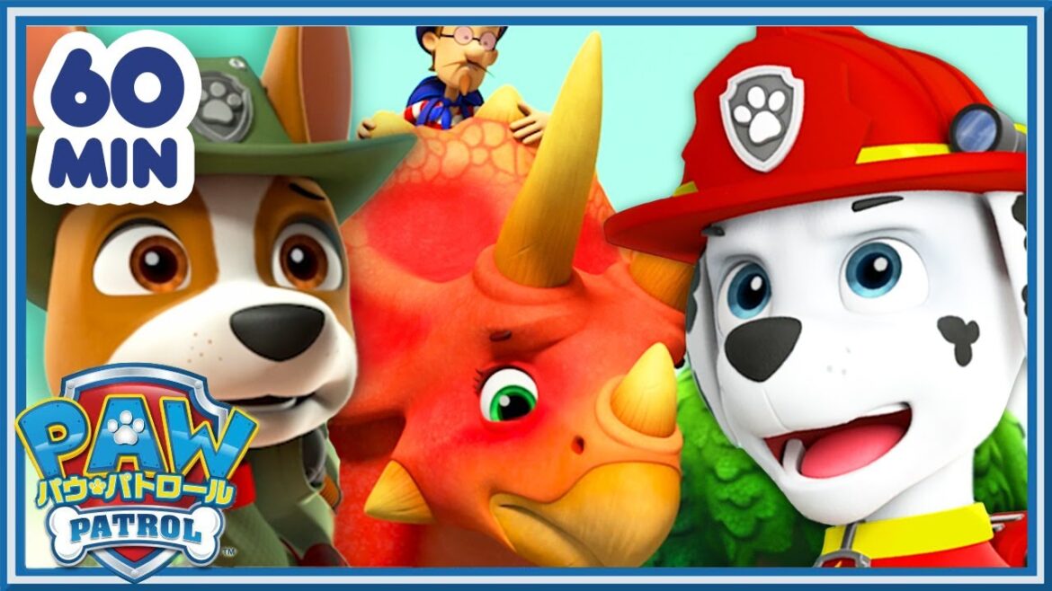 パウ・パトロール | 動物アドベンチャー1 時間!| パウ・パトロール公式