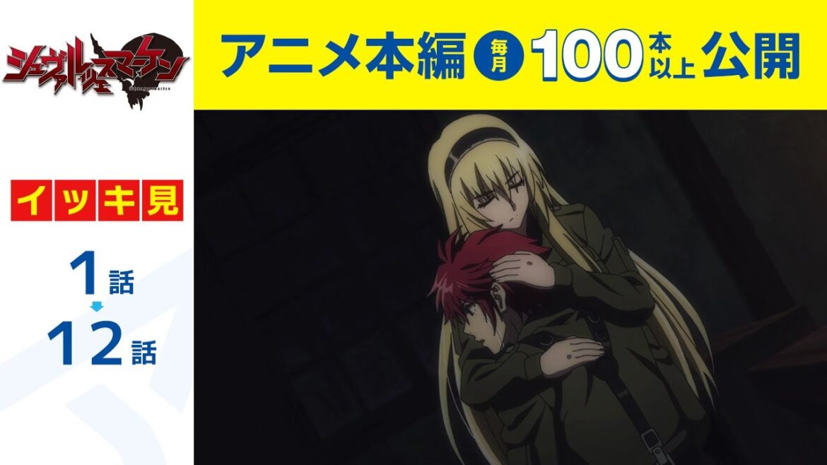【公式】第1話~第12話 シュヴァルツェスマーケン 期間限定本編配信