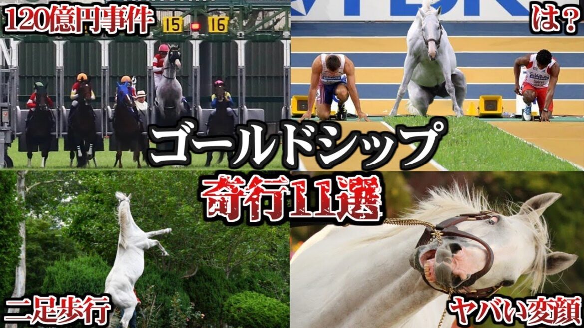 【ウマ娘】驚愕!ゴルシのヤバすぎる奇行11選www【ゆっくり解説】