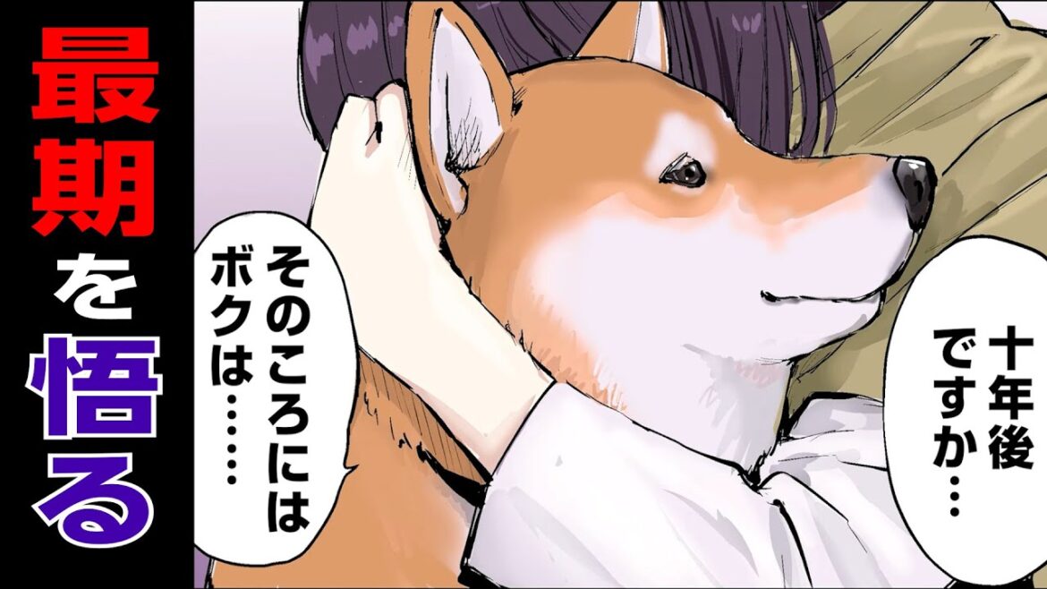 【悲報】自分の最期を悟ってしまう柴犬の名言【世界の終わりに柴犬と】