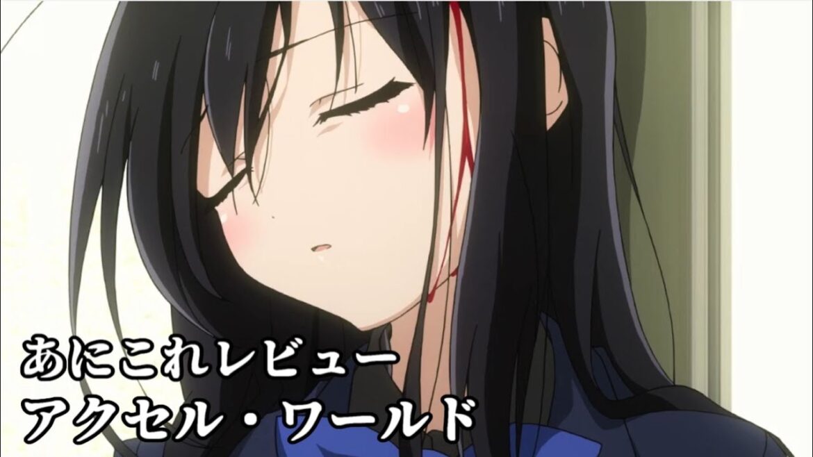 アクセル・ワールド【172位】