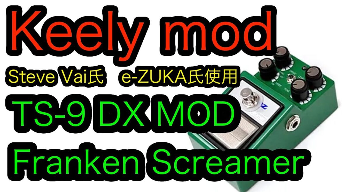 Steve Vai 氏 / Granrodro e-ZUKA 氏 使用のT S -9DX Keely mod Franken Screame