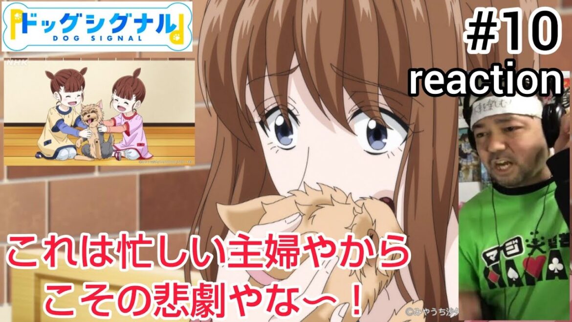 ドッグシグナル 10話 リアクション 【いや〜これは主婦やからこそのしんどさって感じかな〜!】DOG SIGNAL ep10 reaction 同時視聴 反応 #ドッグシグナル