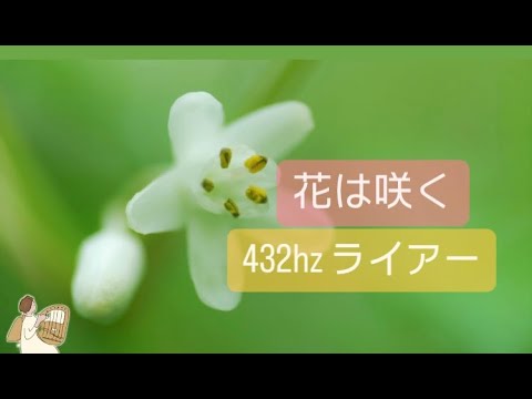 【花は咲く/ Hana wa Saku】432hz Leier by Kanon
