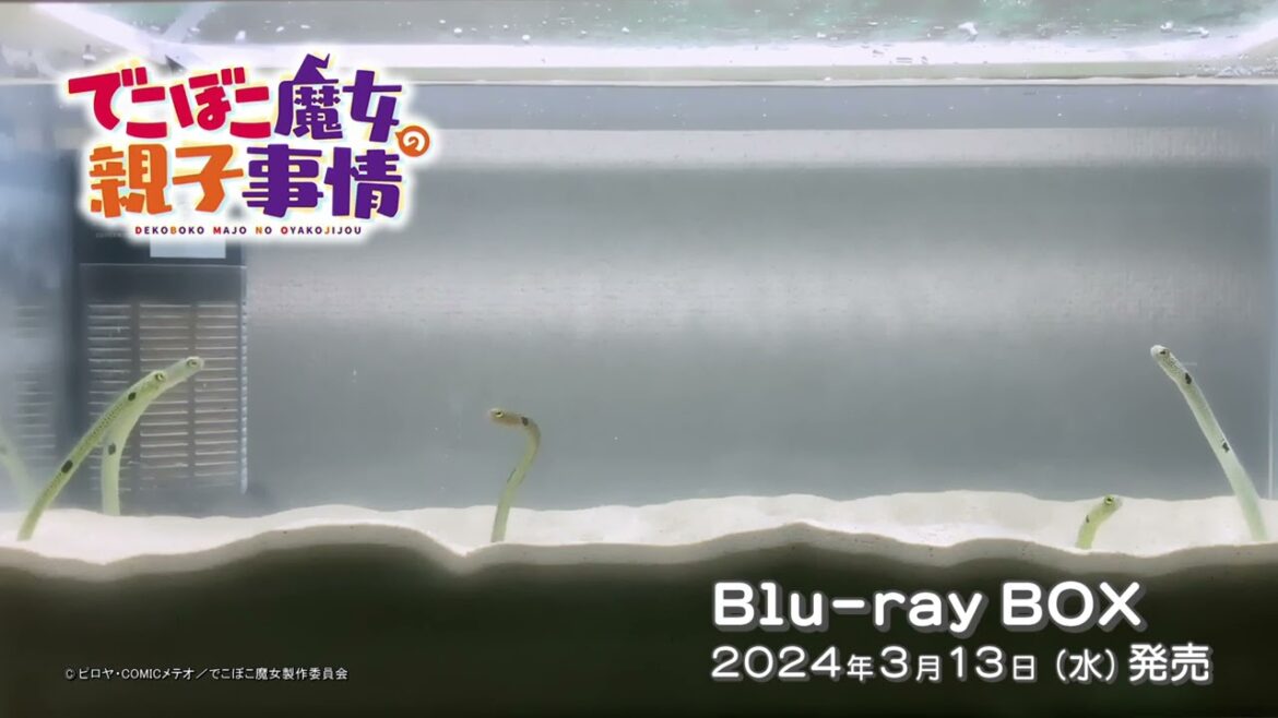 TVアニメ「でこぼこ魔女の親子事情」Blu-ray SPOT