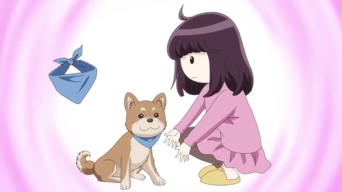 Anjing pintar | Dog Signal Episode 12 sub indo