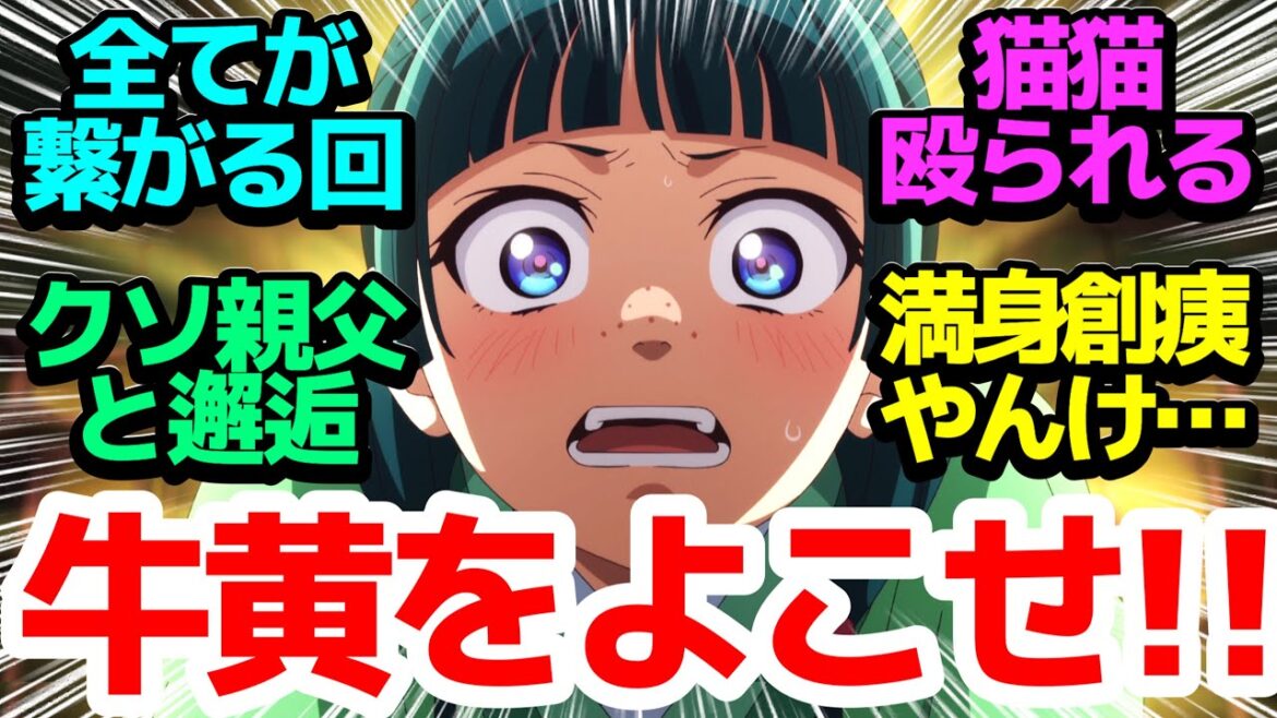 【間に合うか!?】今までの事件が繋がっていく…猫猫がボコボコになるまで止めなければいけない真相とは…?【薬屋のひとりごと】第19話反応集&個人的感想【反応/感想/アニメ/X/考察】