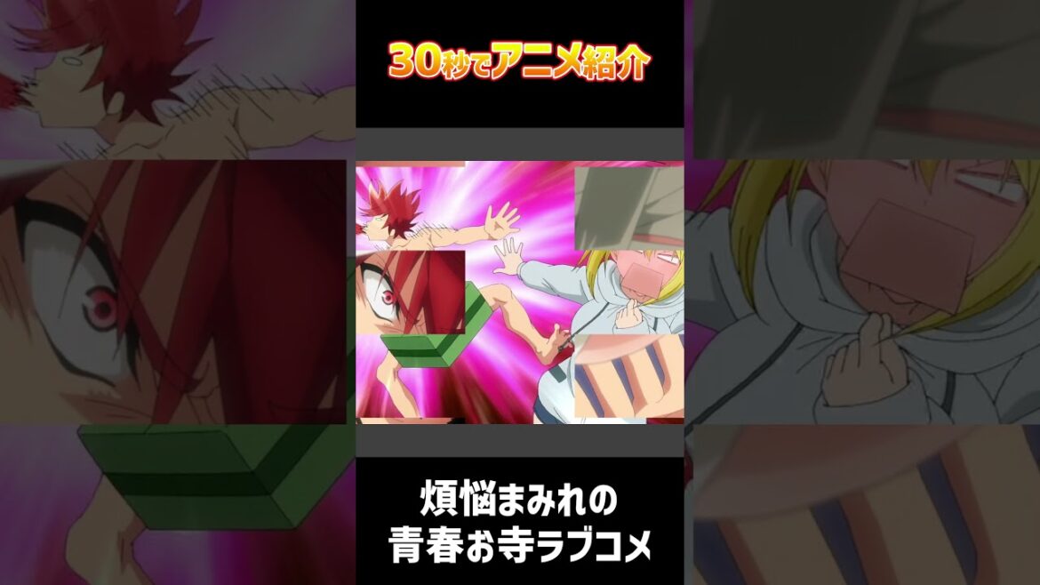 30秒でアニメ紹介「てんぷる」#2023年夏アニメ #shorts