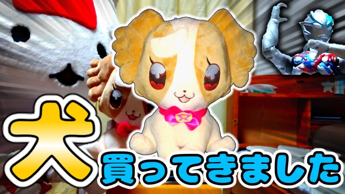 犬を買ってきました  【おしゃべりたっぷりこむぎ わんだふるぷりきゅあ!】(ゆっくり紹介 犬)