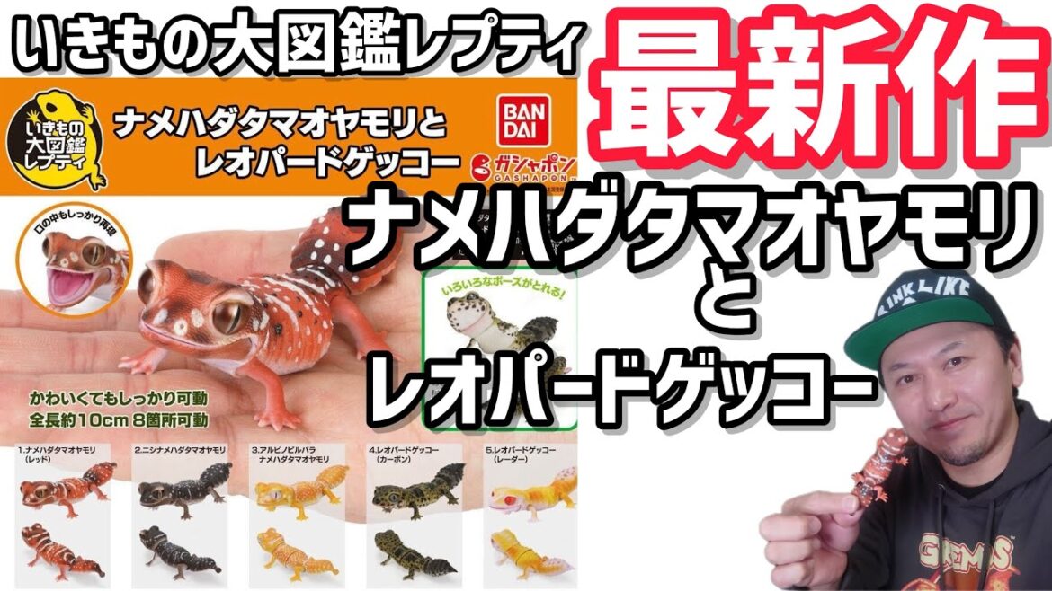 【ガチャガチャ】いきもの大図鑑レプティ『ナメハダタマオヤモリとレオパードゲッコー』【最新作】開封&レビューします。【@BANDAI】#Capsuletoys