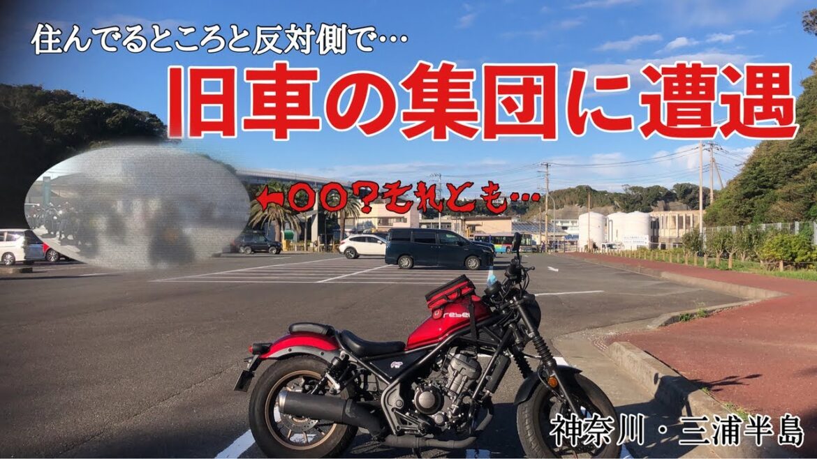 【悲報】三浦半島を走ったら旧車から〇〇されました