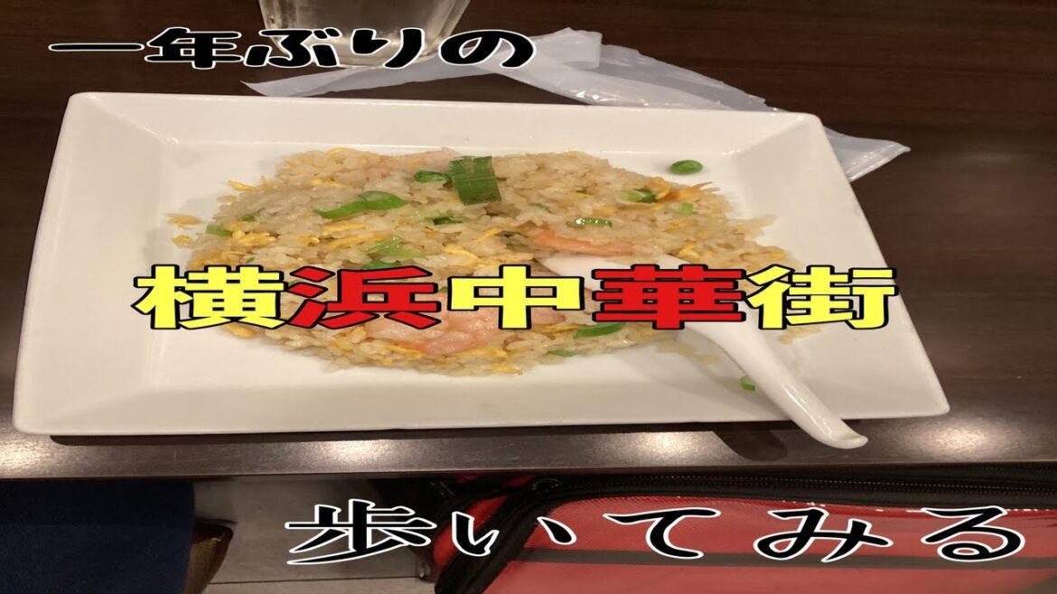 【レブル250】1年ぶりに横浜中華街を歩いてきました