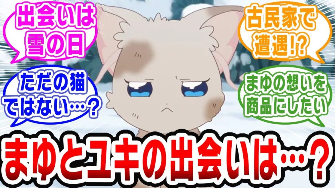 【プリキュア】まゆとユキの出会い!最初は汚れた捨て猫だったんだ……【ネットの反応集】