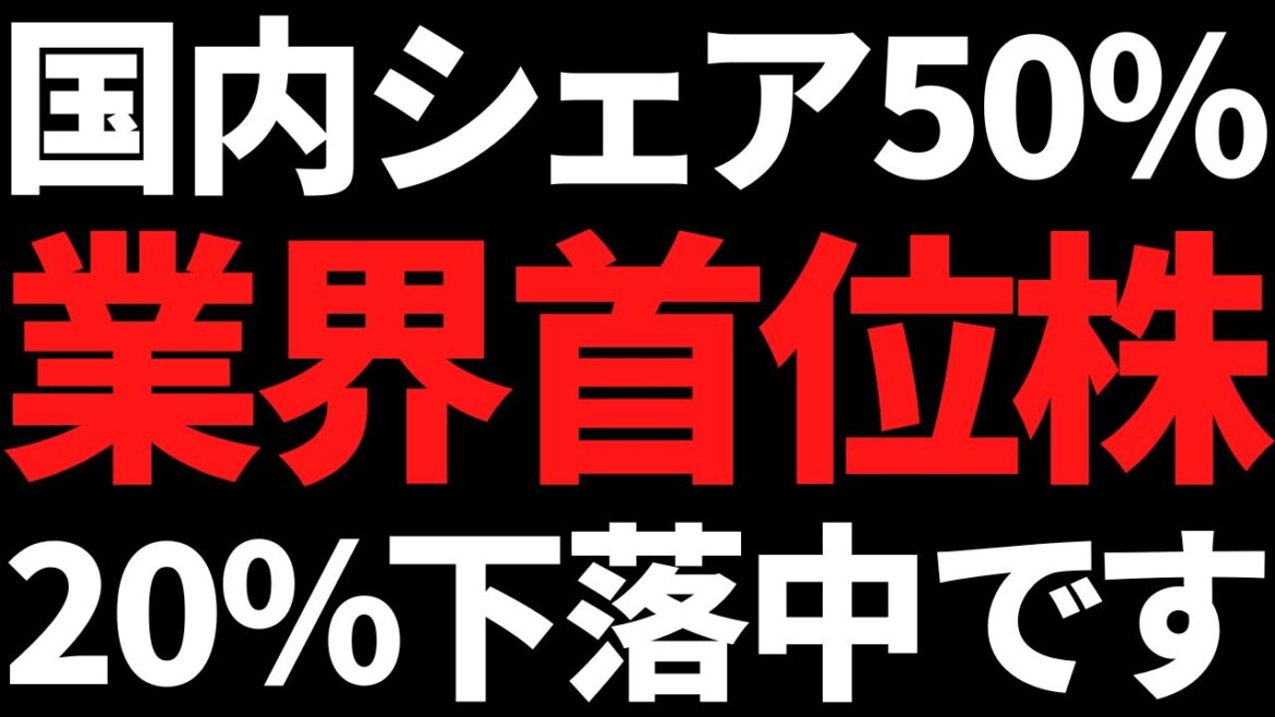 あの国内シェア50%超で海外も好調なぶっちぎり最大手株が急落中