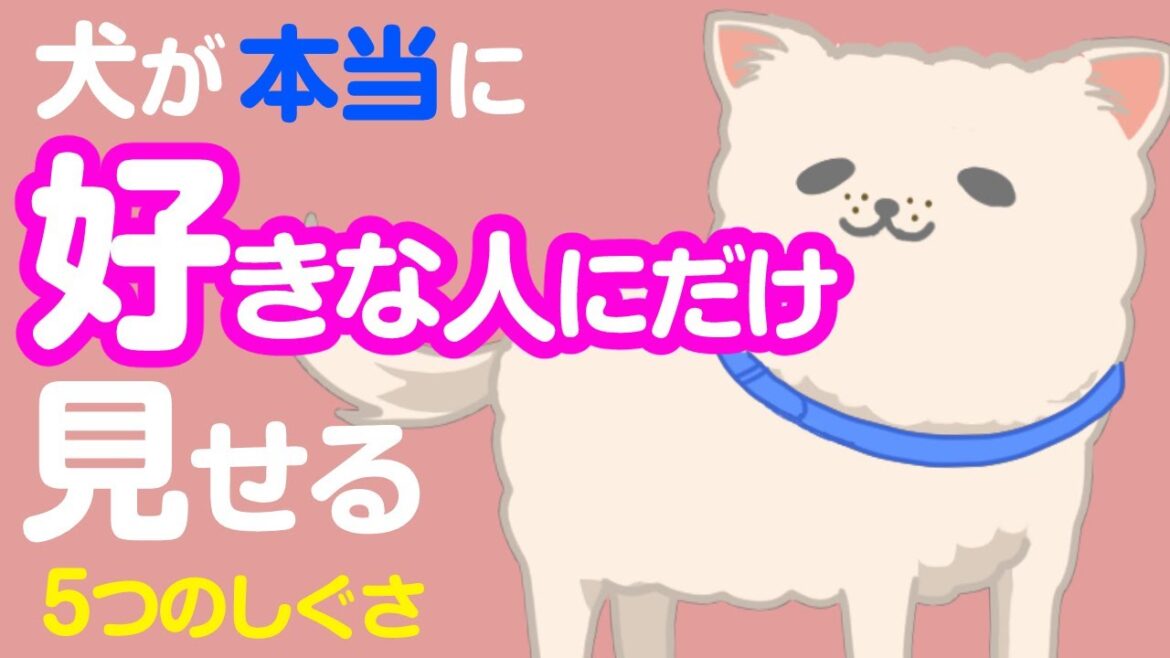 愛犬と相思相愛!?犬が好きな人にだけ見せる5つの仕草