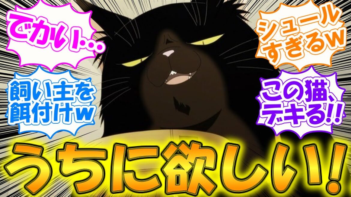 深夜の飯テロ&癒し枠!?【デキる猫は今日も憂鬱】諭吉がなんでも世話してくれてどっちが飼い主だかわからない第1話の反応集【実況・反応集】