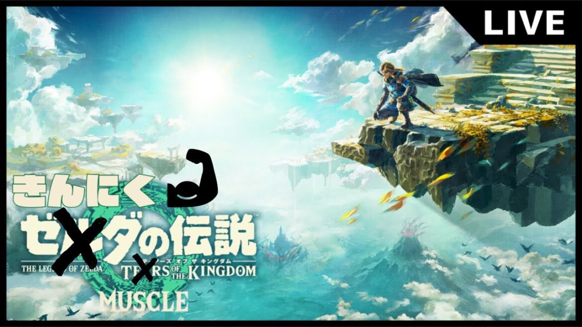 【ゼルダの伝説 ティアーズ オブ ザ キングダム】 世界一の神ゲー第2弾 ティアキンやります 第9章