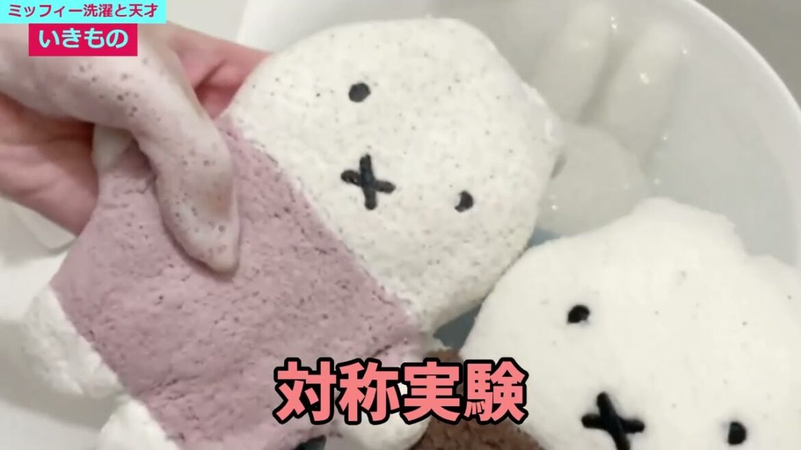 【いきもの】ミッフィー洗濯と天才【切り抜き】
