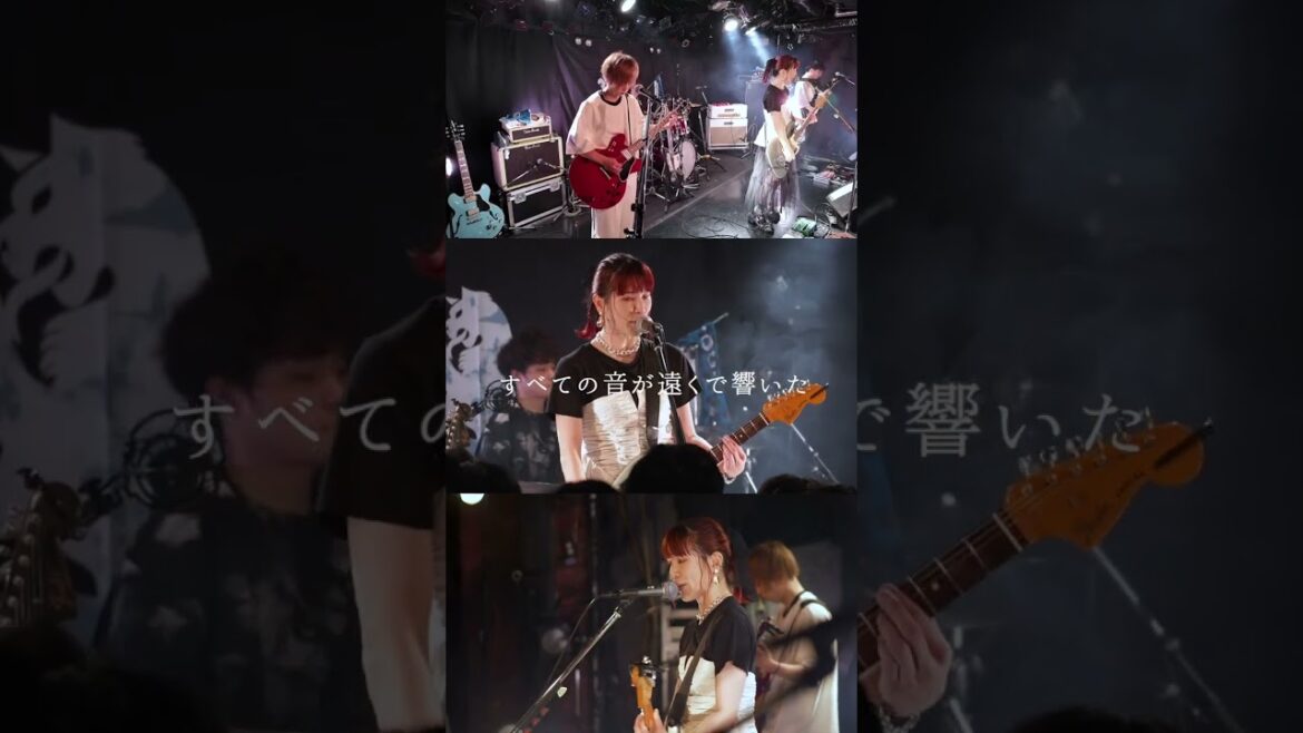 nano.RIPE「クライマックス」 2024.07.27 LIVE Solo Ver. / 2024.7.6 配信リリース #shorts