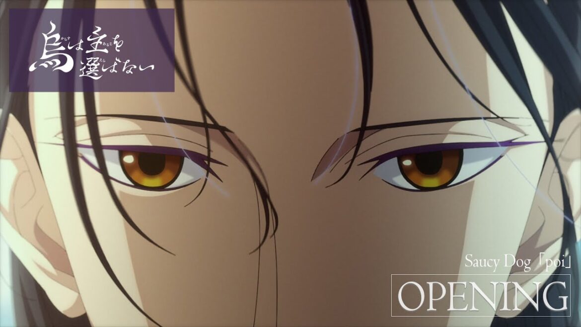 TVアニメ「烏は主を選ばない」ノンクレジットOPムービー  |  Saucy Dog「poi」  |  NHK総合 毎週土曜 23:45 放送中 TVアニメ「烏は主を選ばない」ノンクレジットOPムービー  |  Saucy Dog「poi」  |  NHK総合 毎週土曜 23:45 放送中