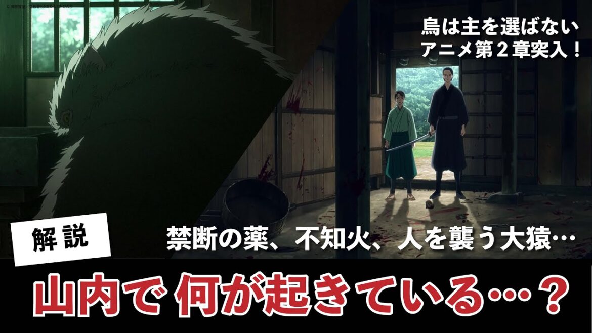 【烏は主を選ばない】アニメ解説「第２章スタート！山内に起きている異変とは...？」