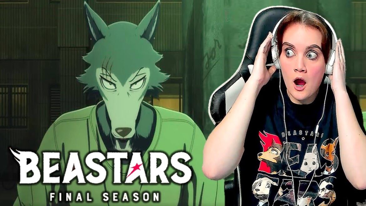 TWO PARTS!?! I Teaser Trailer Reaction of Beastars Final Season I Part 1 & Part 2 I Netflix